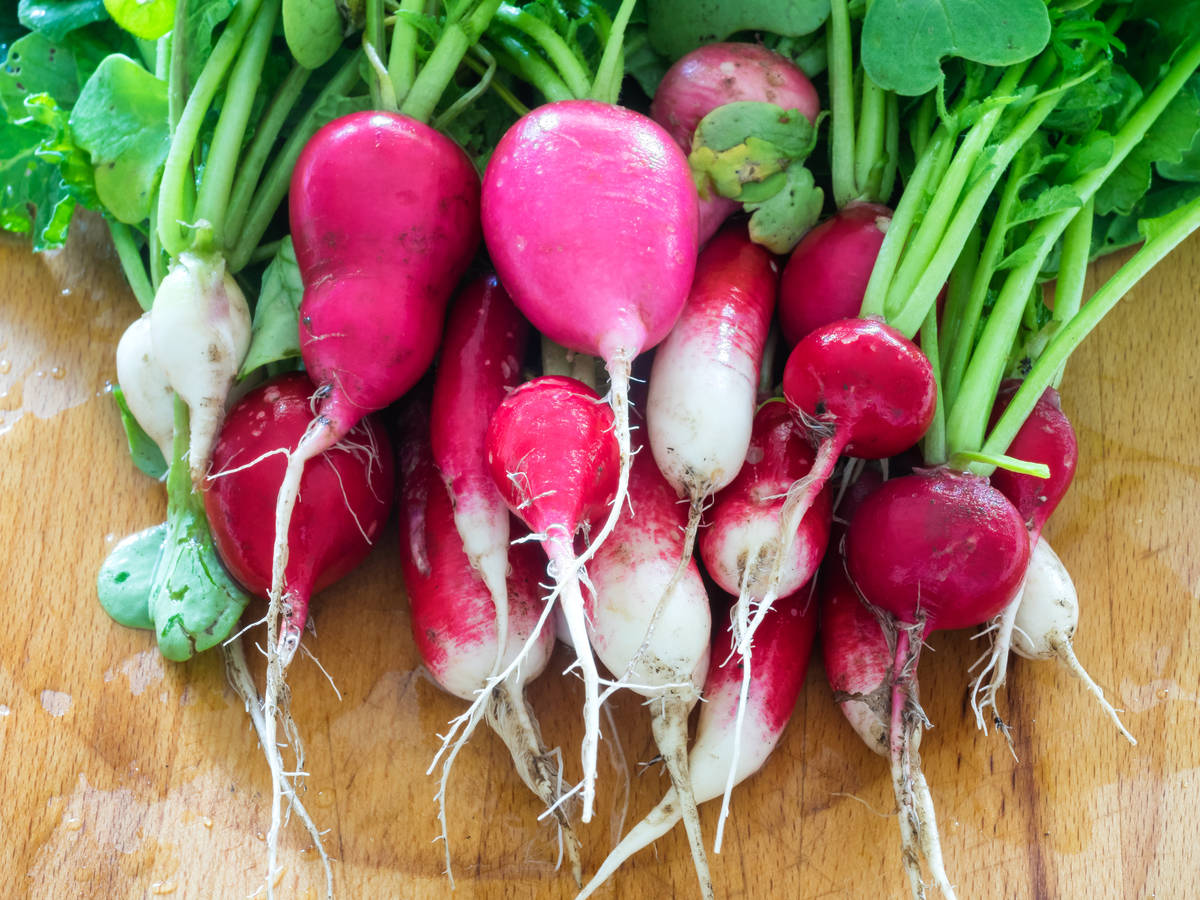vegetable container gardening - radishes