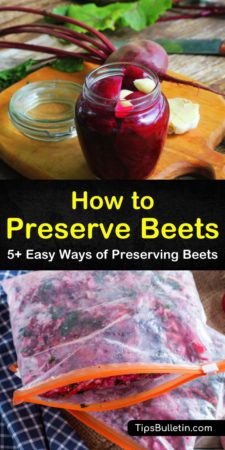 Discover some of the best methods for how to preserve beets. Use pickling recipes to store fresh beets, whether in the fridge, pantry, or with a canner. Learn how to process beets in boiling water when storing for long periods of time. #howto #preserve #beets