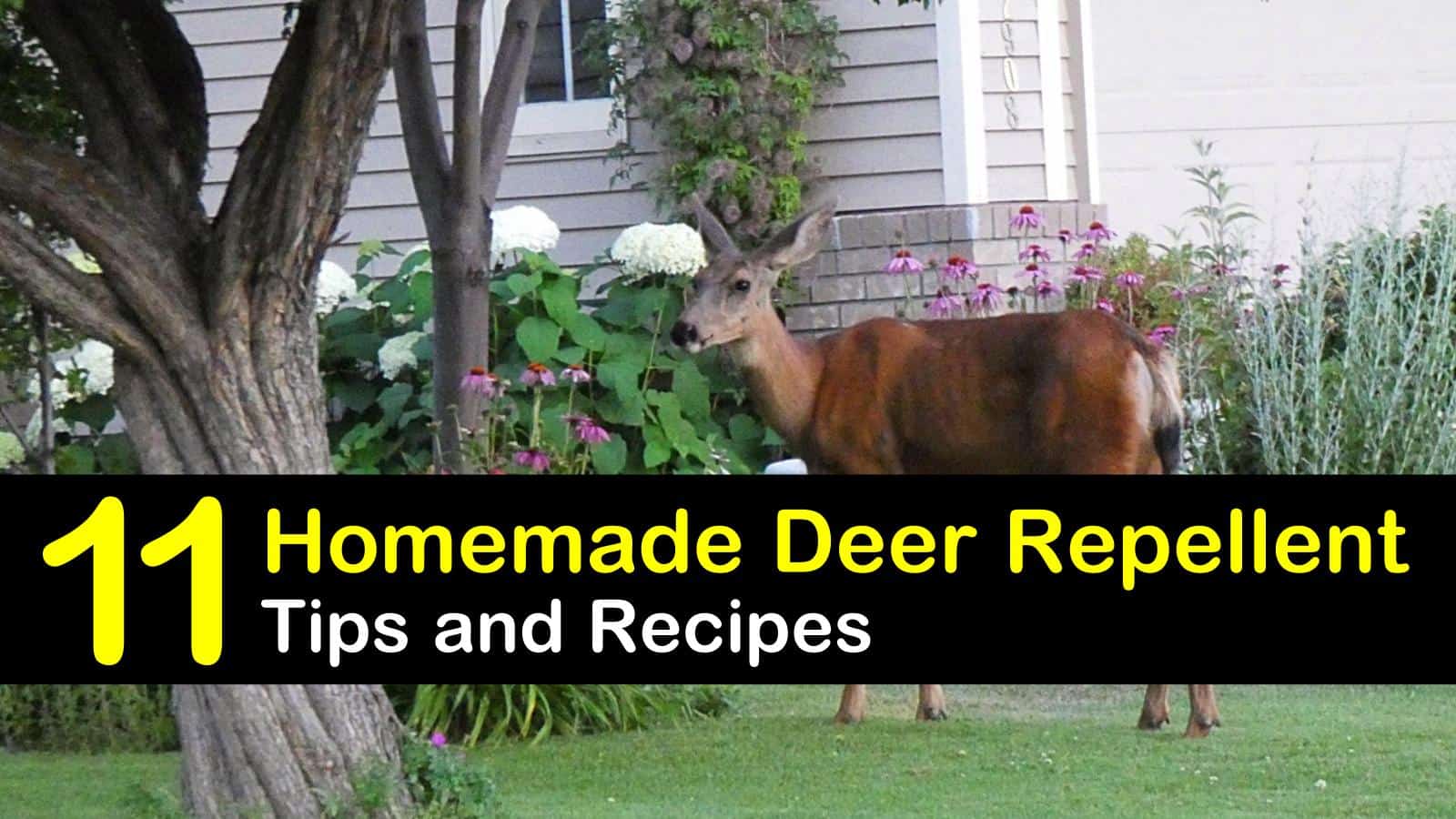 11 Brilliant Diy Ideas For Deer Repellents