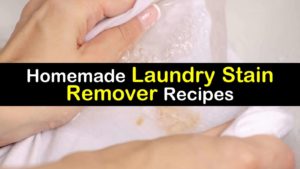 homemade stain remover titleimg1