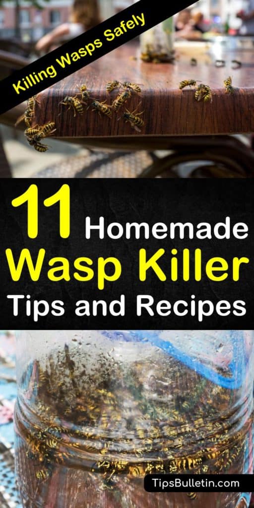 homemade red wasp killer
