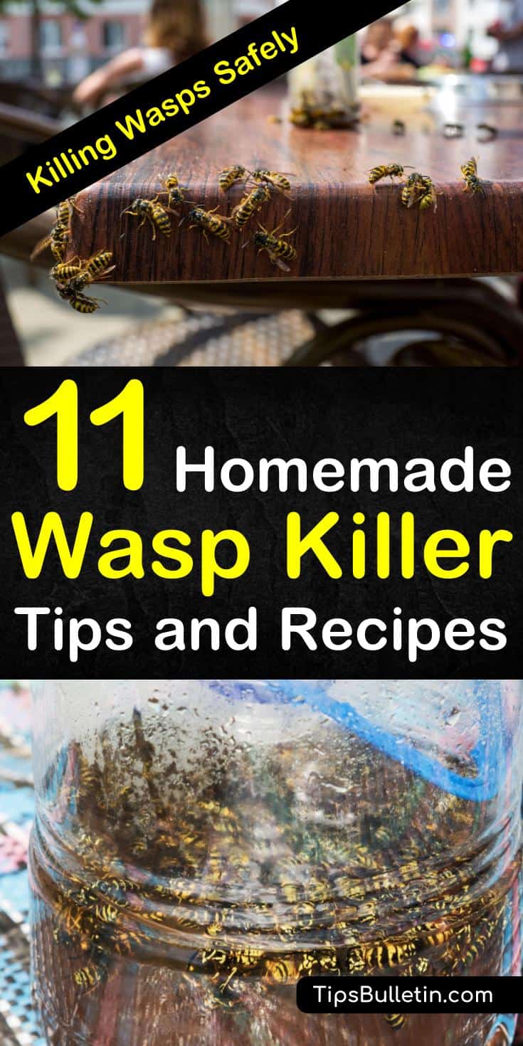 Want to know how to get rid of wasps, including yellow jackets, from around your house if a water spray isn’t doing the job? If you’re looking for environment-friendly home remedies, check out our 11 homemade wasp killer tips and recipes: #wasps #homemade #waspspray #waspkillers #insecticides