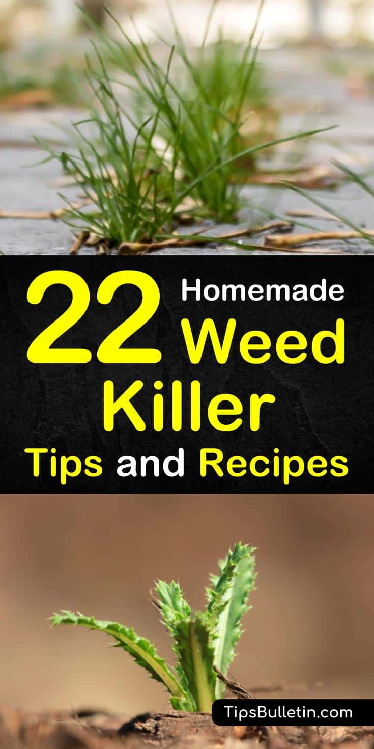 Learn how to create a homemade weed killer recipe for your flower beds, yards, and driveways. Combine natural ingredients to make sprays safe for grass, for gardens, and for lawns. #weeds #weedkiller