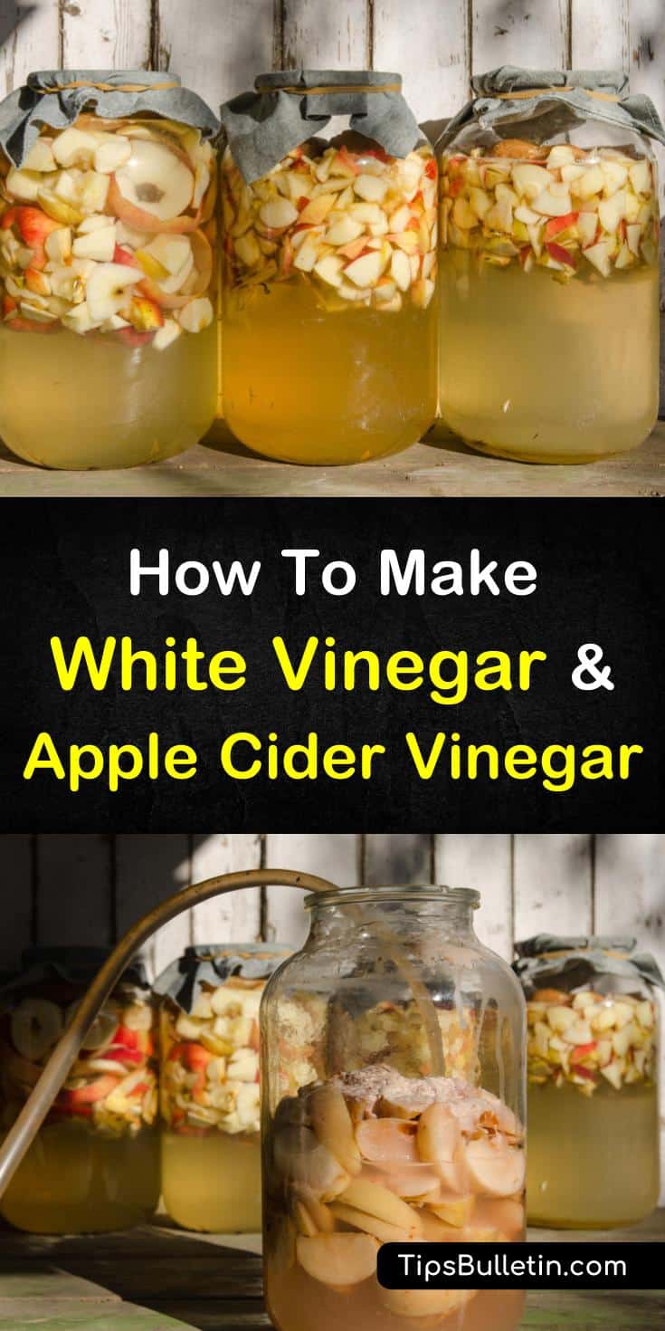 Learn how to make simple homemade vinegar that you can use at home as a cleaner, in food, or as salad dressings. Using easy ingredients like white and red wine and apple cider, these recipes are easy to follow. #diy #applecidervinegar #whitevinegar