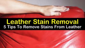 how to remove stains from leather titleimg1