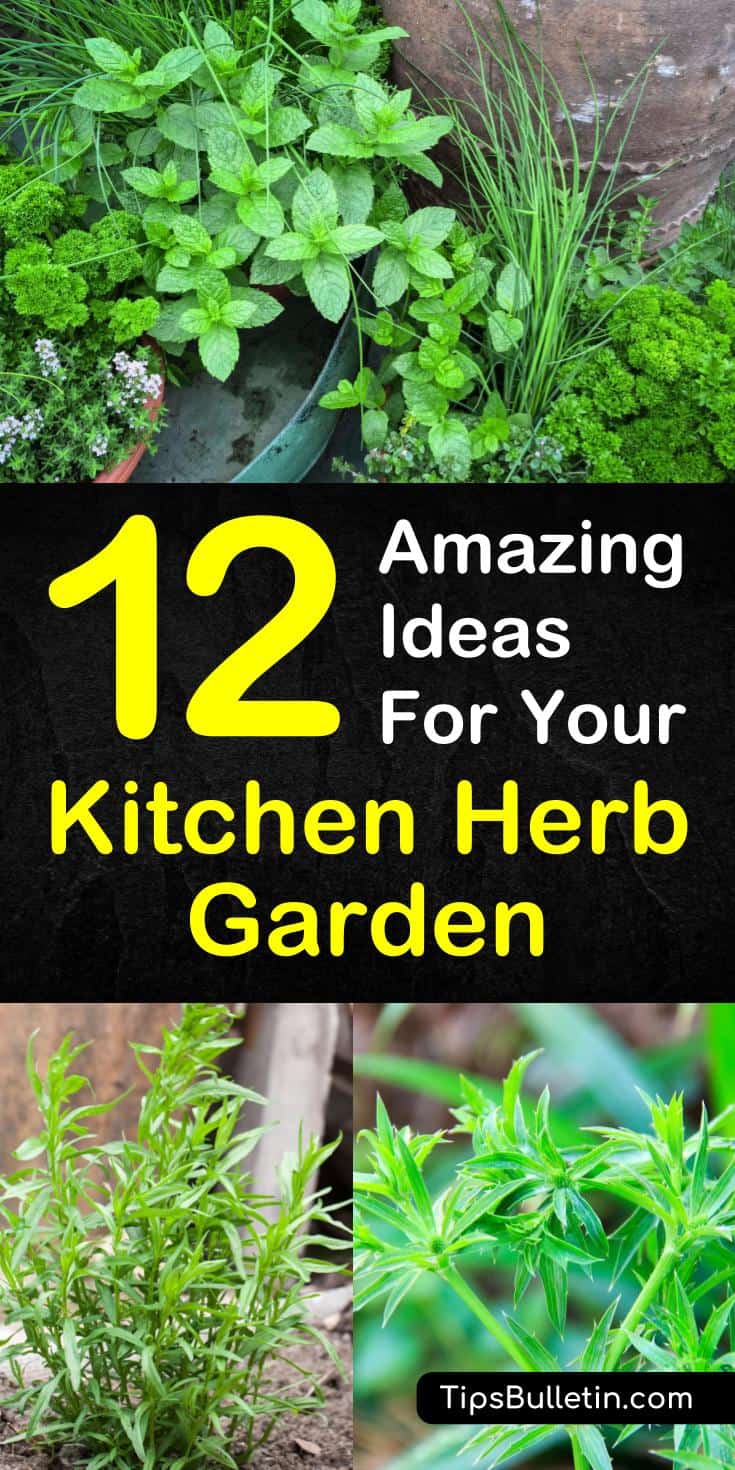 Discover 12 easy-to-grow herbs for your kitchen garden. Learn which plants work best in small spaces, in containers, and hanging planters. With numerous ideas on how to make your own DIY mason jar planters that work well on windowsills and outdoor patio spaces. #herbsforlife, #kitchengarden, #diy