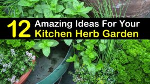 kitchen herb garden titleimg1