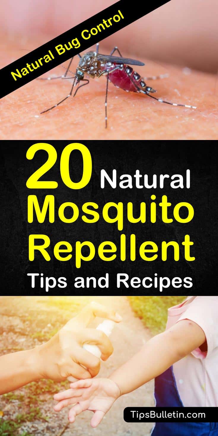 Learn about diy homemade bug spray recipes you can make while your indoor to prepare for late-night mosquito bites in backyards. Prepare the best spray using our home remedies for babies and pets that we’ve gathered for you. #bugspray #mosquitoes #repellent