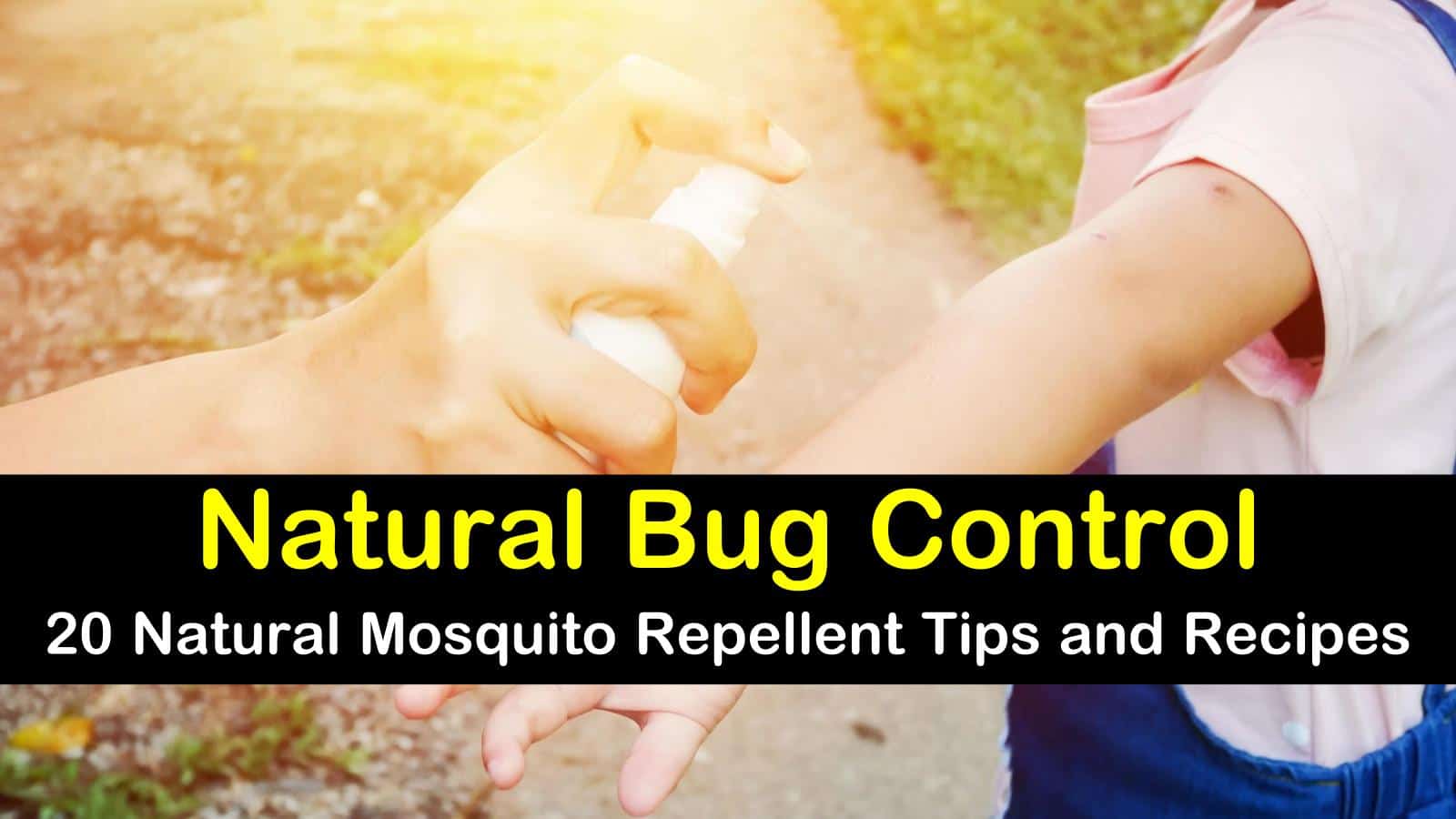 20 Natural Mosquito Repellent Tips and Recipes - Natural ...