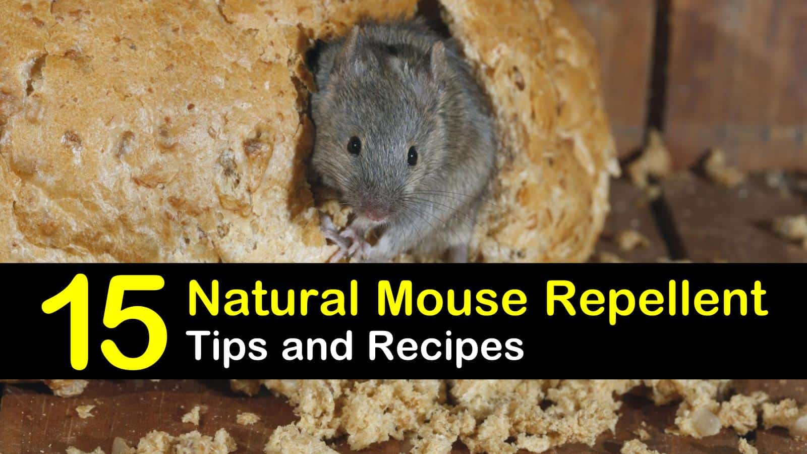 natural mouse repellent titleimg1