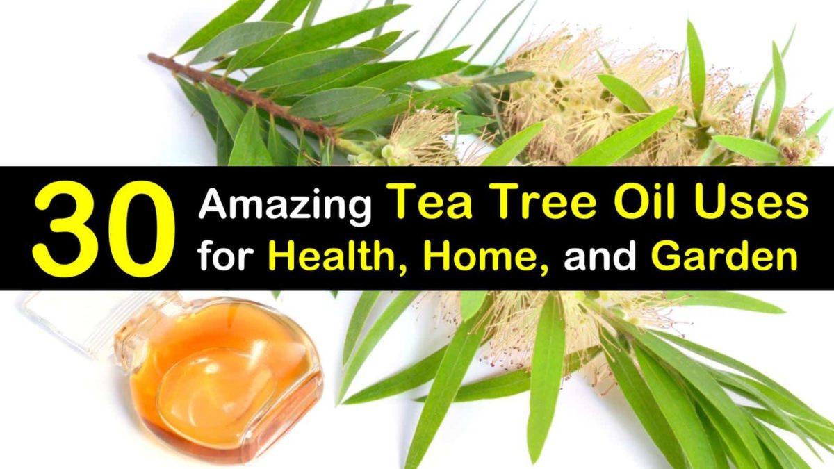 30 Amazing Uses for Tea Tree Oil
