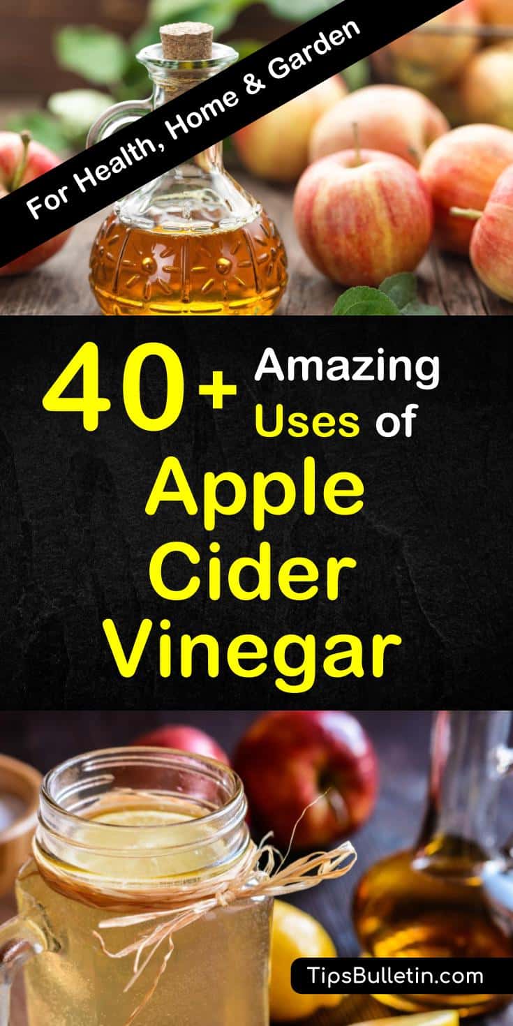 Learn the many amazing benefits of apple cider vinegar for treating acne, for weight loss, for colds, and others. Learn how to make various recipes with apple cider vinegar to help improve your health, clean your house, and use in the garden. #applecidervinegar #uses #ACV #vinegar