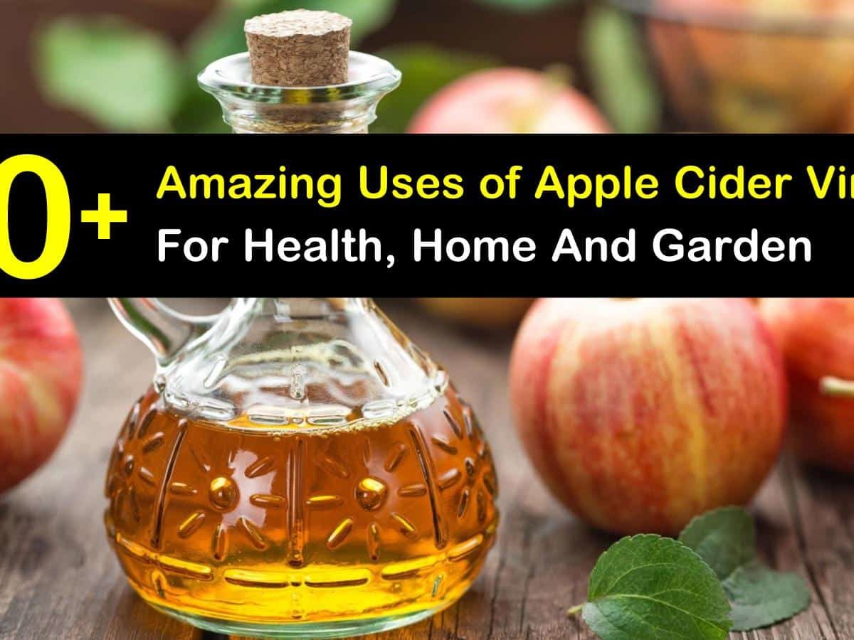 Apple benefit cider vinegar of 5 Benefits