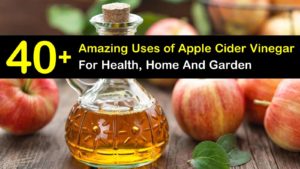 apple cider vinegar titleimg1