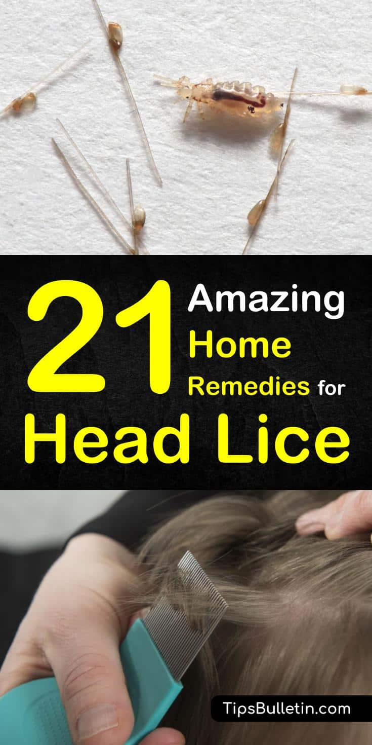 Home remedies for lice on furniture
