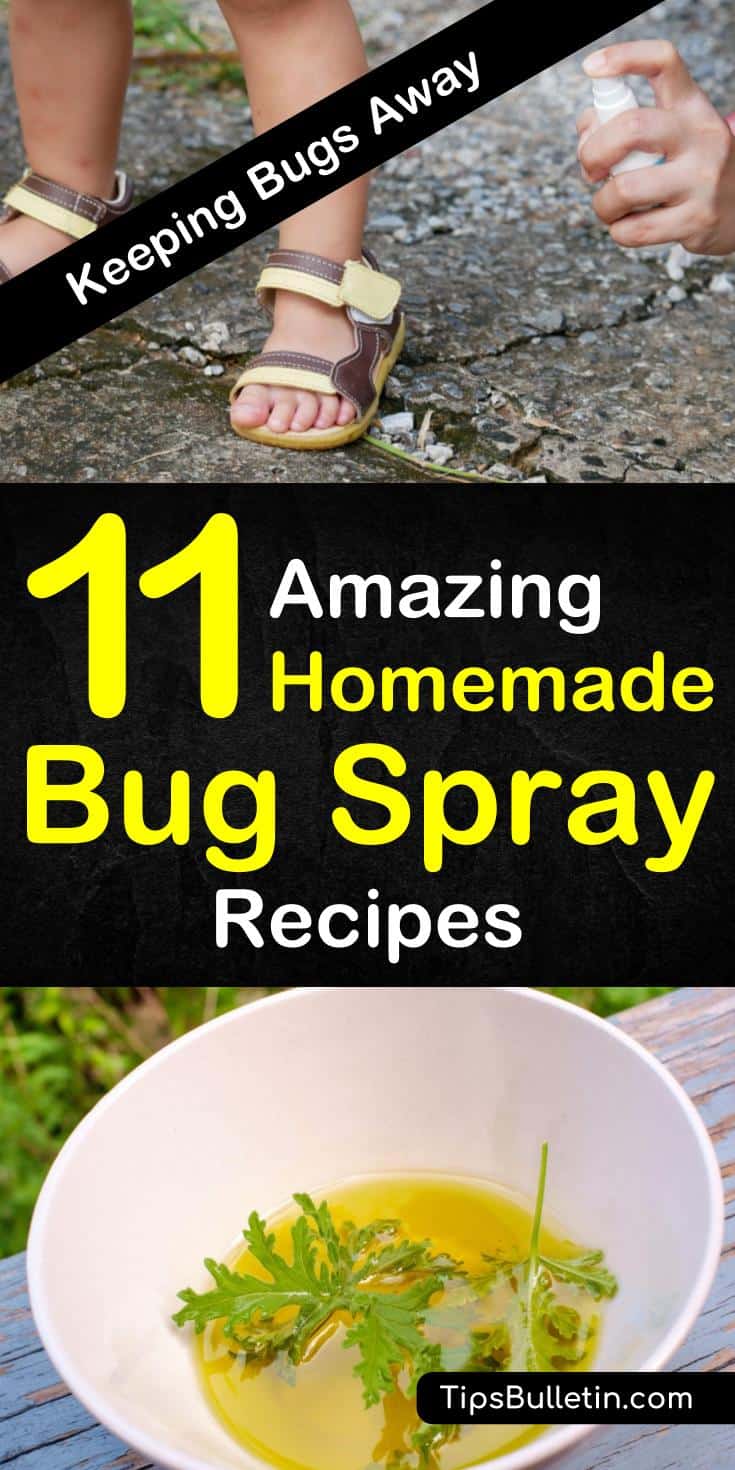 Learn how to keep the bugs, flies, and mosquitoes away by using essential oils, water, apple cider, and witch hazel as a homemade bug spray. Know how to concoct an all-natural pest control for kids, for plants, for home, and for yard use. #bugbites #diyrepellent #homemademosquitospray