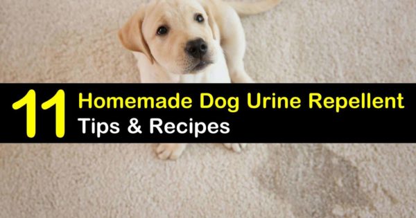 Keeping Dogs Away - 11 Homemade Dog Urine Repellent Tips and Recipes