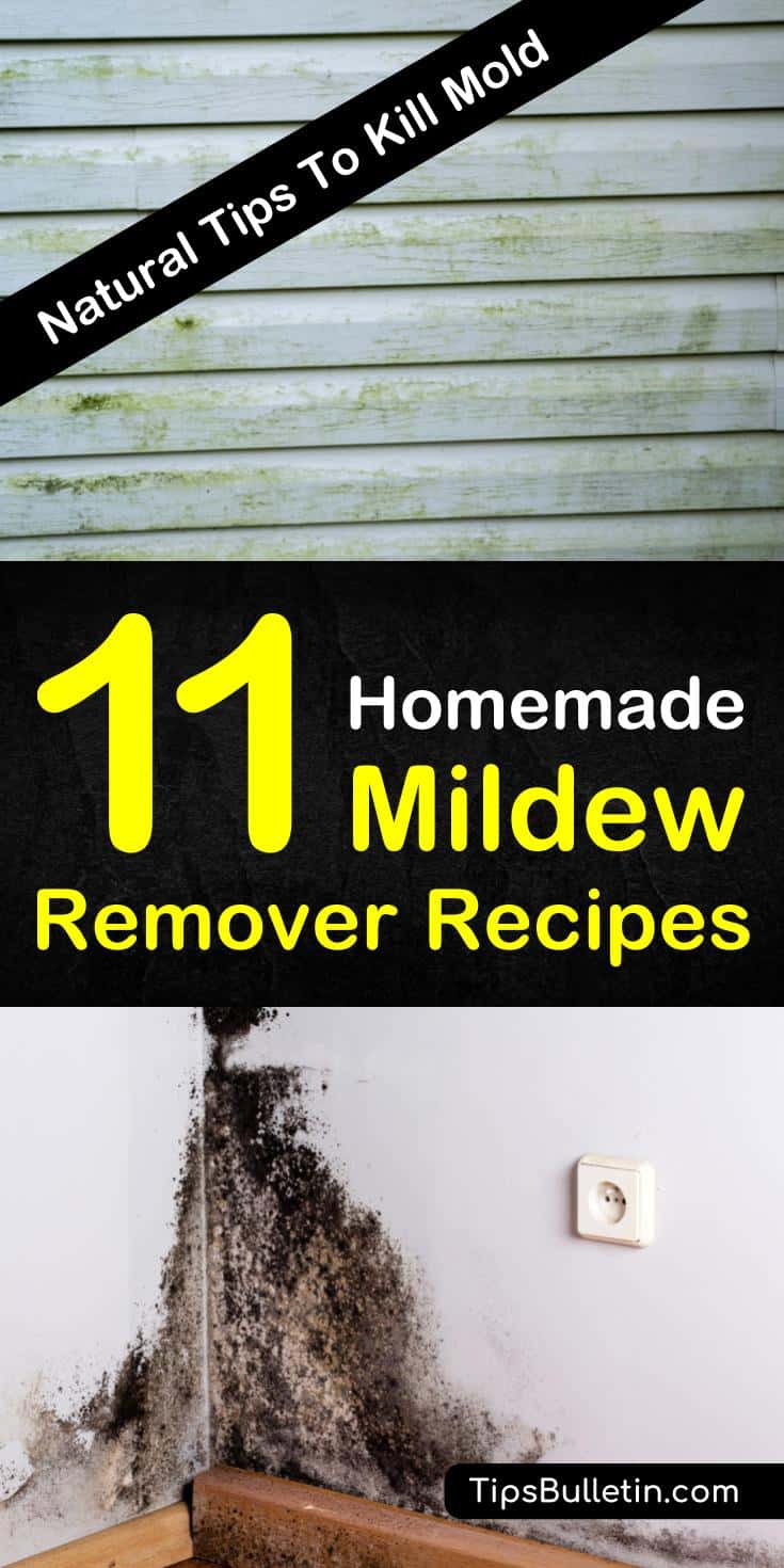 Useful Tips To Make Your Everyday Life Just A Bit BetterMold and mildew are not something you want sharing your home. Learn how to get rid of both with baking soda and essential oils. Our homemade mildew remover recipes provide amazing results. #mildewremoval #cleaningtips #mold