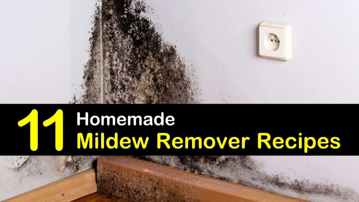 11 MakeYourOwn Mildew Remover Recipes