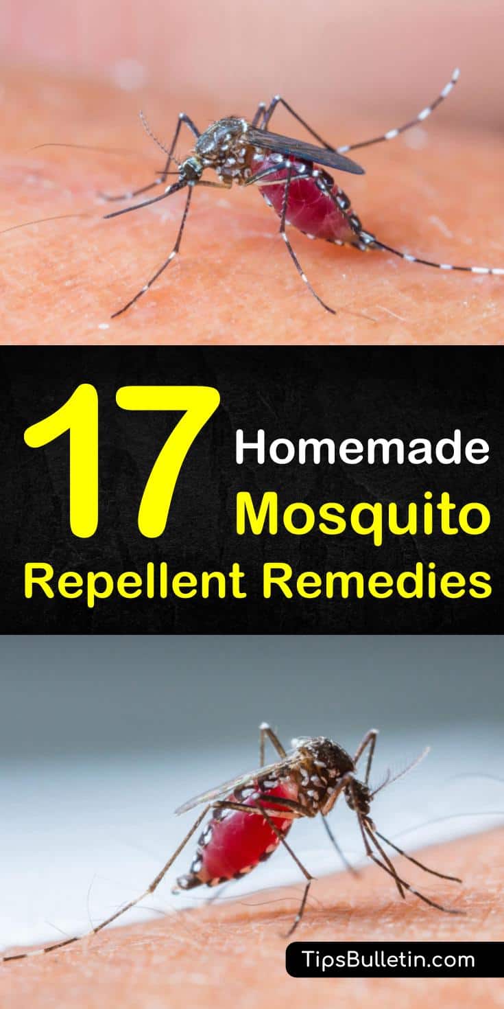 Discover how to make natural mosquito repellent using natural and non-toxic ingredients with essential oils, apple cider vinegar, and other natural ingredients. These recipes are safe to use for kids, on skin, in the yard, and as a natural bug spray. #mosquitos #DIY #repellent