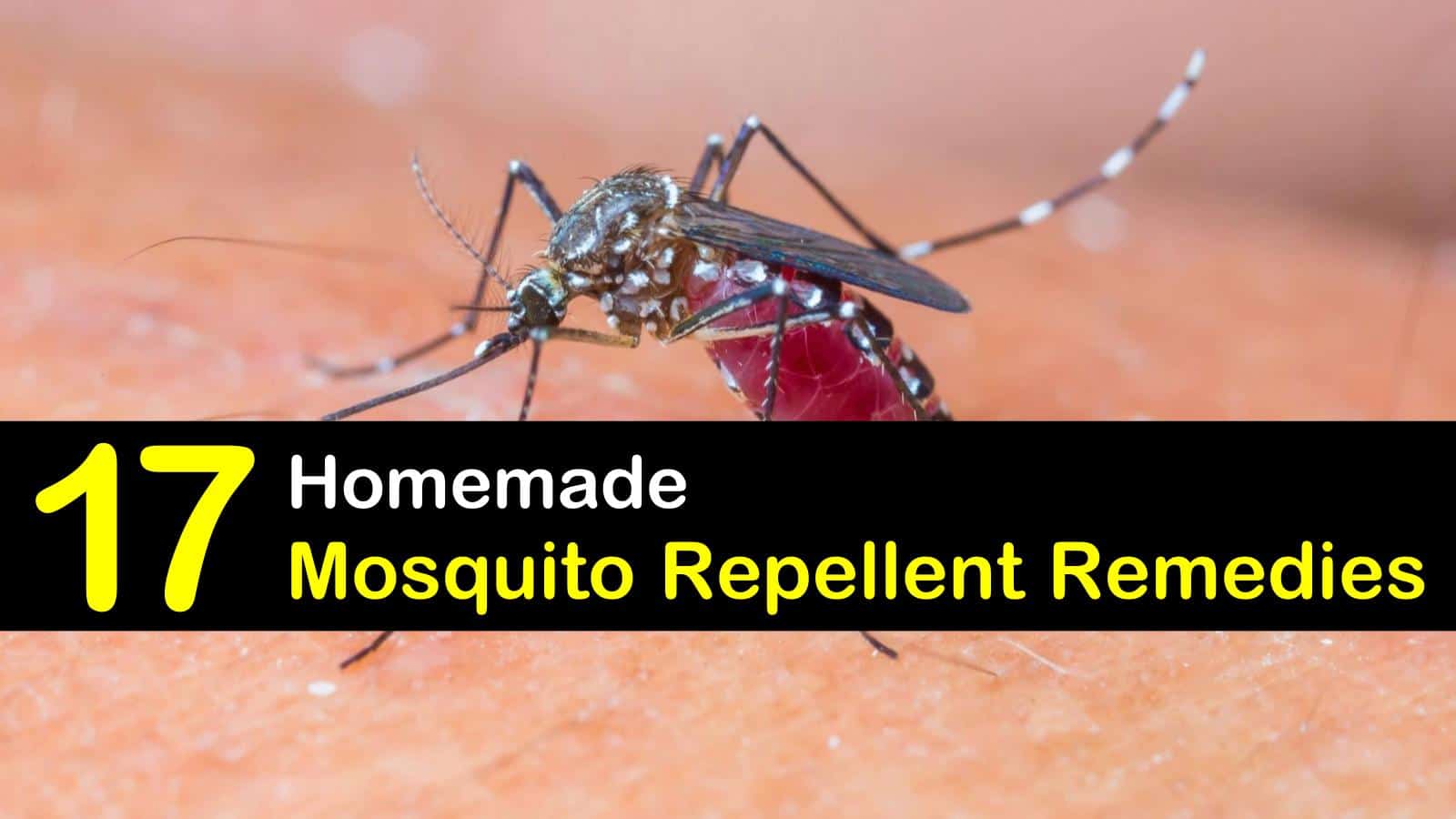 17 Simple DIY Mosquito Repellent Remedies