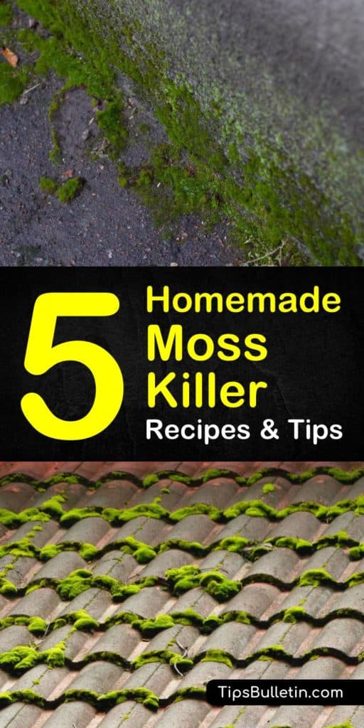 Homemade Moss Killer Recipes 5 Natural Tips For Killing Moss