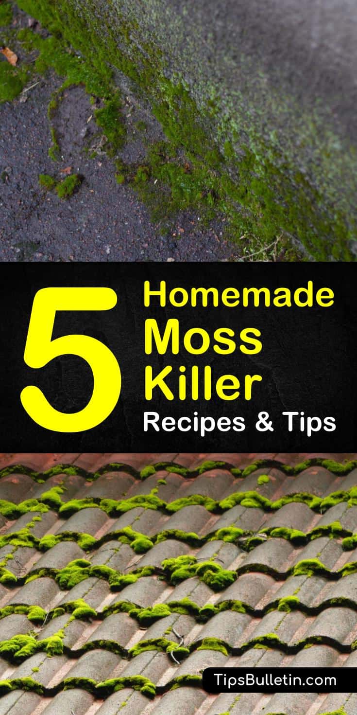 Explore these homemade moss killer solutions for driveway, for roofs, for patios, and for lawns. These natural homemade recipes will have your yard looking better than ever. #diymossremoval #naturalmosskiller #mosscontrol