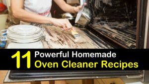 homemade oven cleaner titleimg1