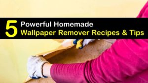 homemade wallpaper remover titleimg1