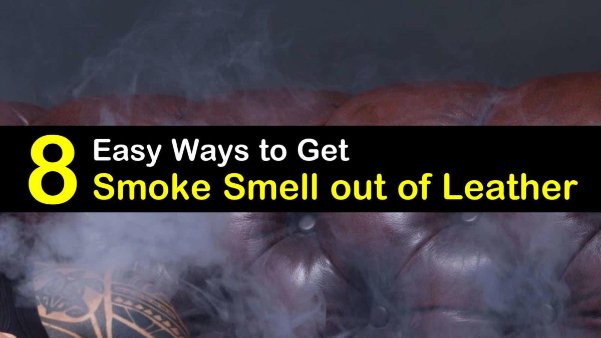 8 Easy Ways to Get Smoke Smell Out of Leather