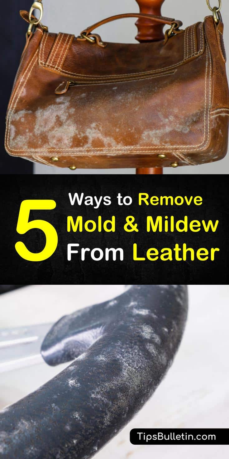 Find out how to remove mold from leather goods using proven stain removers like rubbing alcohol, baking soda, and vinegar! These cleaning tips will have your leather items looking good as new! #cleaningtips #leathercleaner #stainremovers