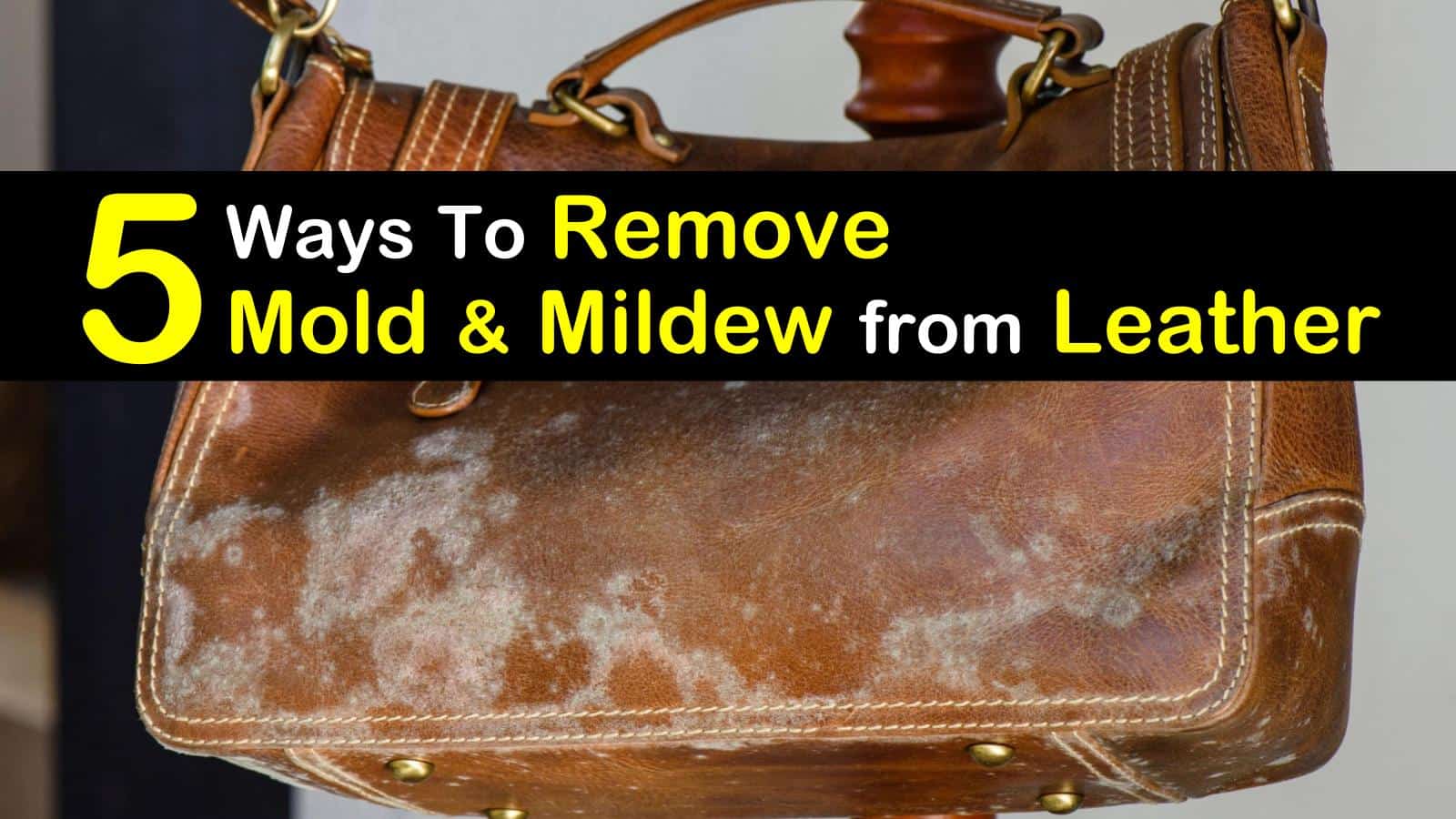 13 Quick & Easy Ways to Remove Mold from Leather