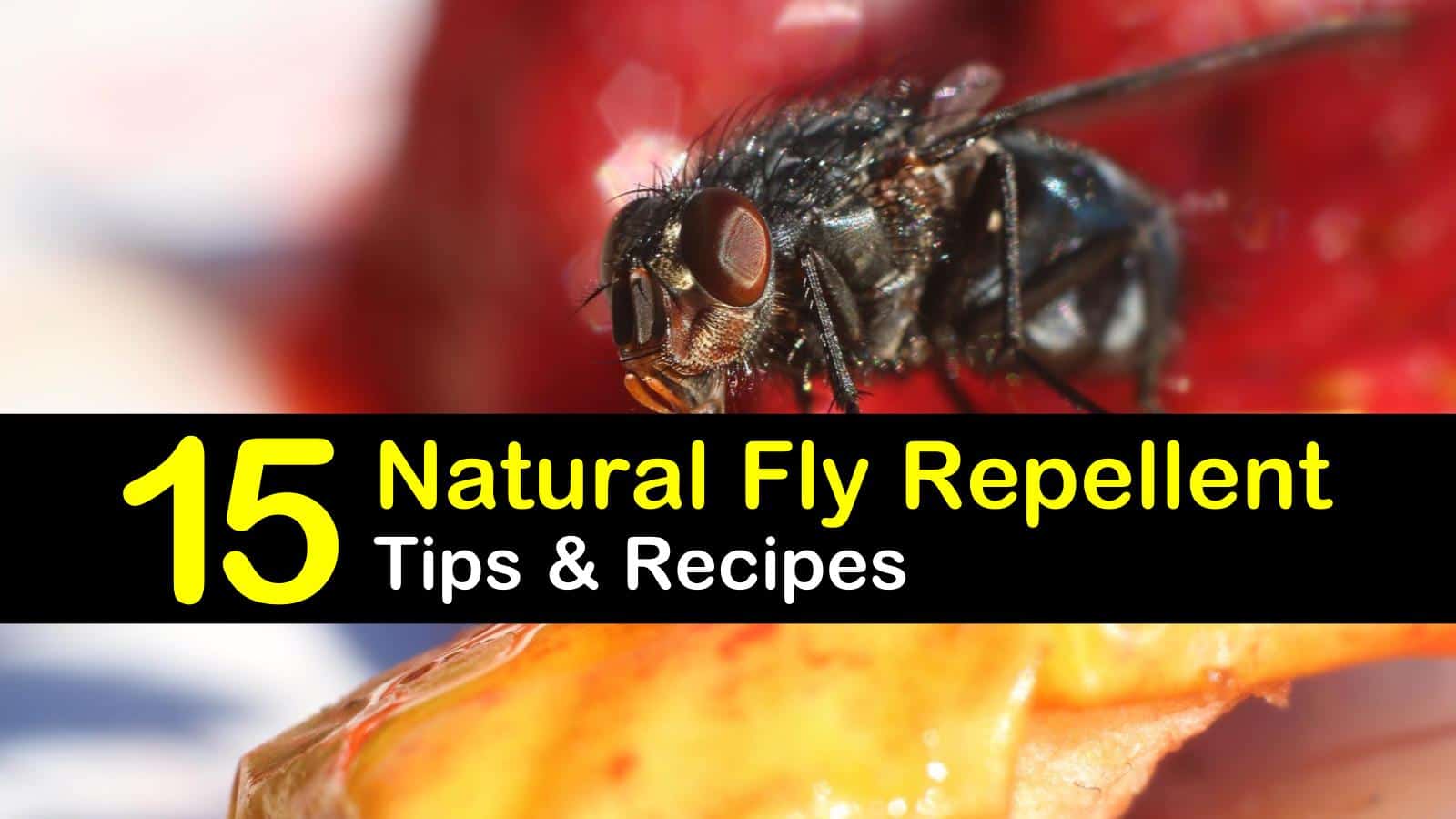 Natural Fly Repellent