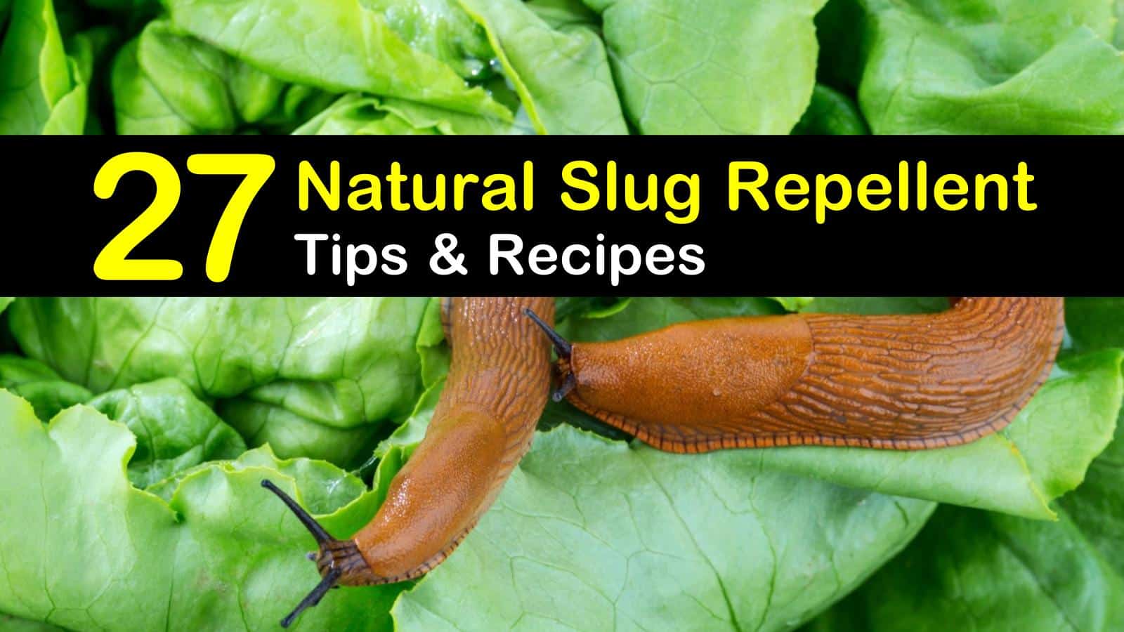 natural slug repellent titleimg1