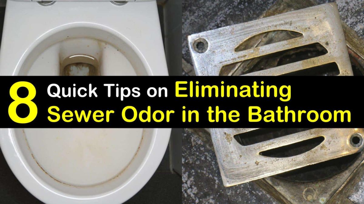 How to Get Rid of Sewer Smell in the Bathroom - 8 Quick Tips on