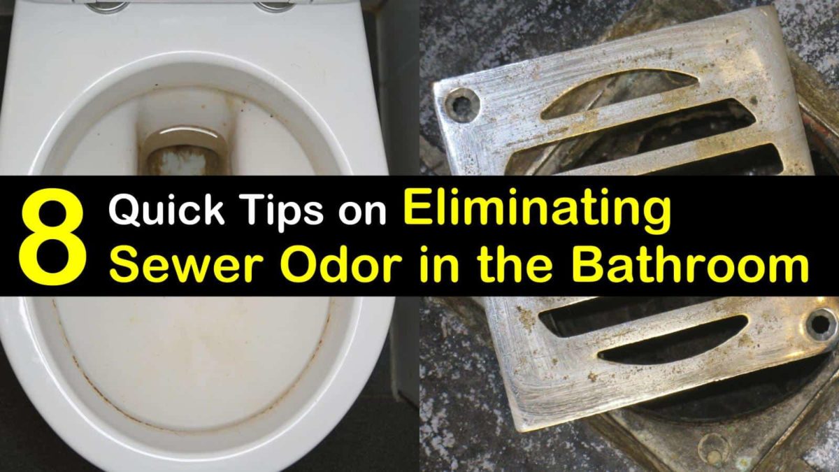 How to Get Rid of Sewer Smell in the Bathroom 8 Quick