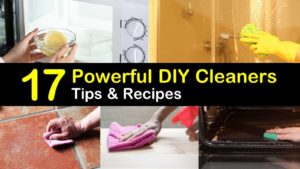 diy cleaners titleimg1