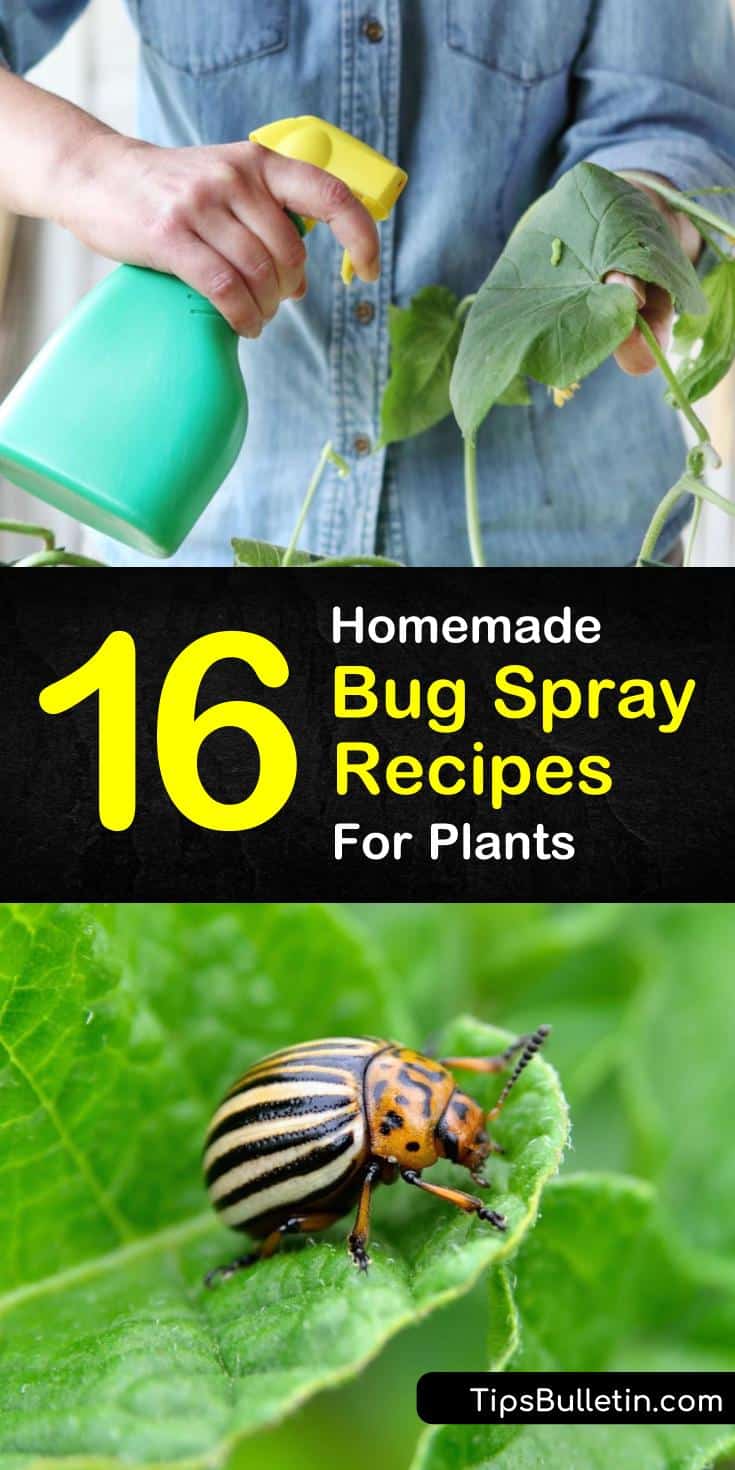 16 Do It Yourself Bug Spray Recipes For Plants