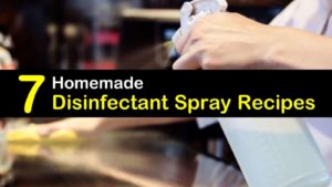 homemade disinfectant spray titleimg1