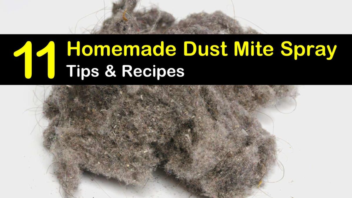 Getting Rid of Dust Mites 11 Homemade Dust Mite Spray Tips and Recipes
