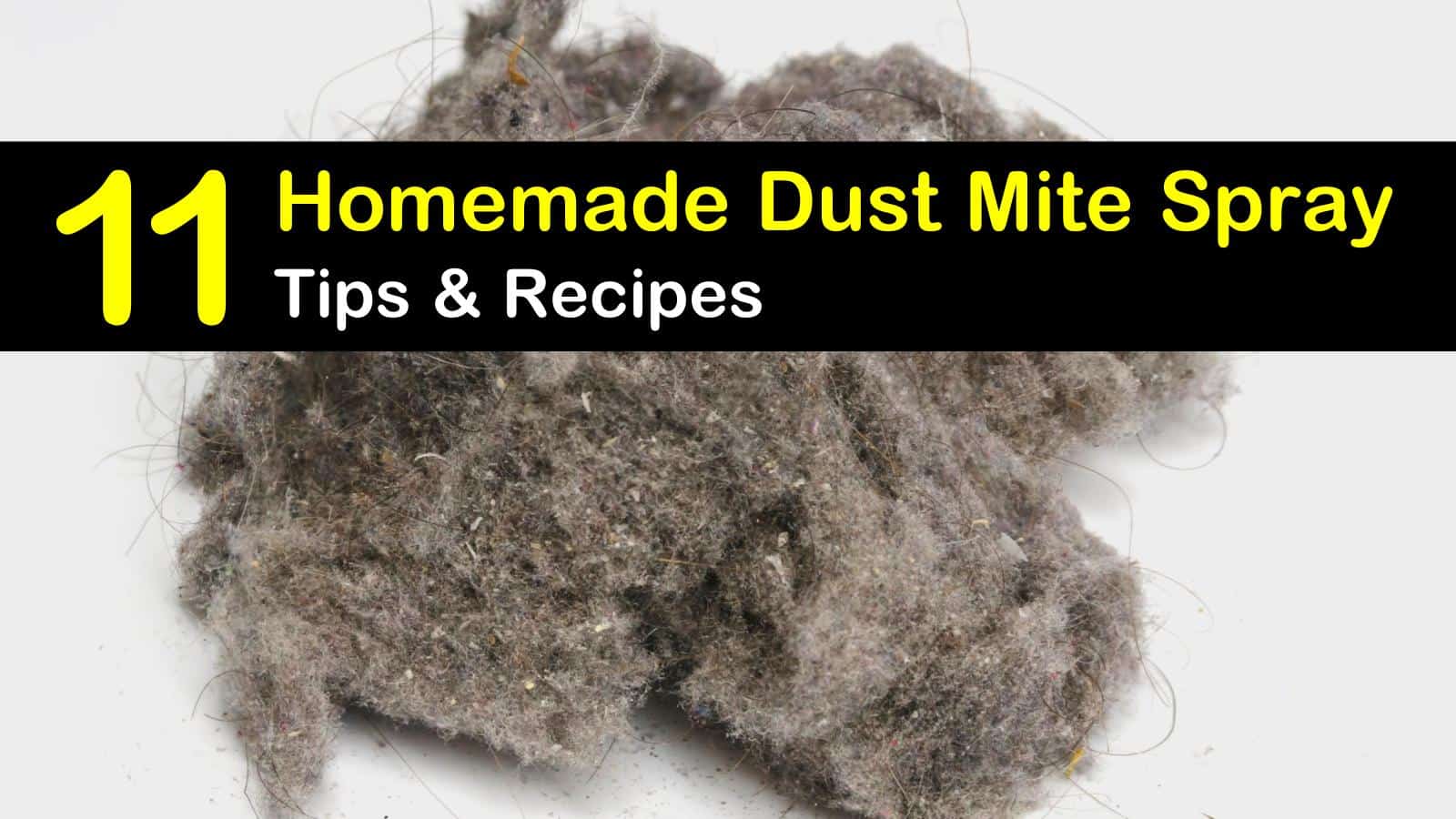 homemade dust mite spray titleimg1