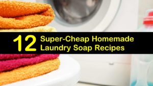 homemade laundry soap titleimg1