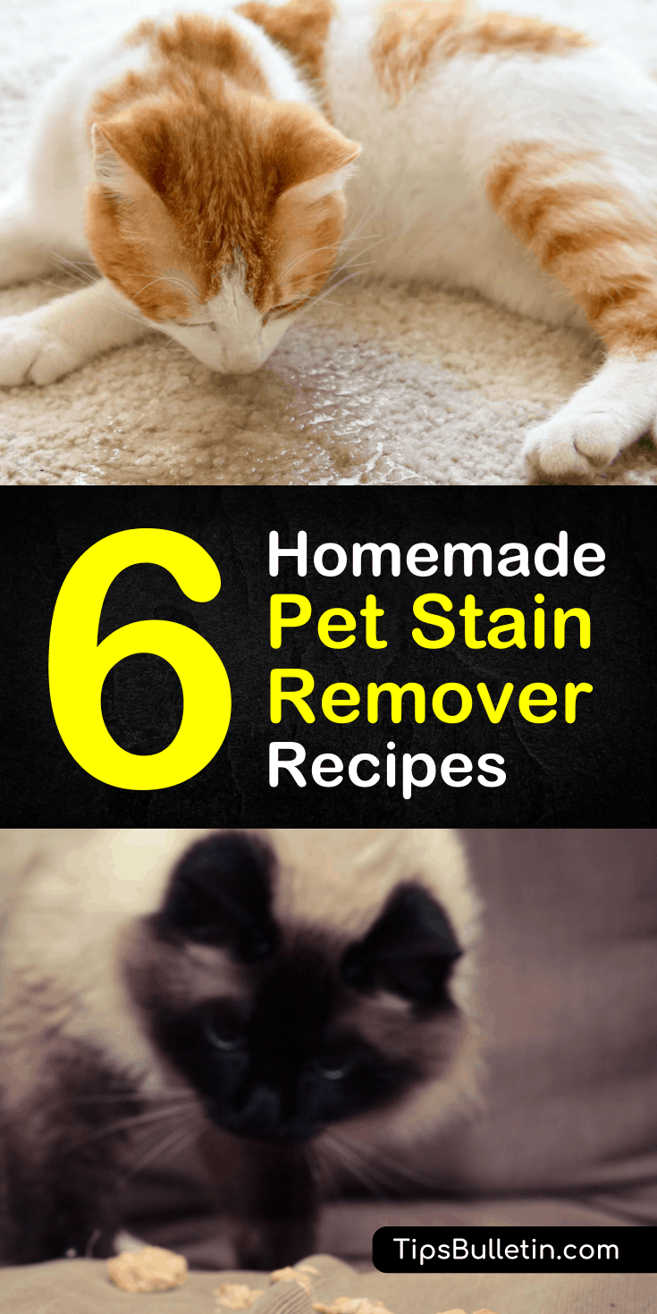 Nobody wants to walk into a house that reeks of cat or dog pee. Our homemade pet stain remover recipes use baking soda, vinegar, and hydrogen peroxide to get rid of urine smells. #petstains #odorremover #homemadestainremover