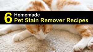 homemade pet stain remover titleimg1