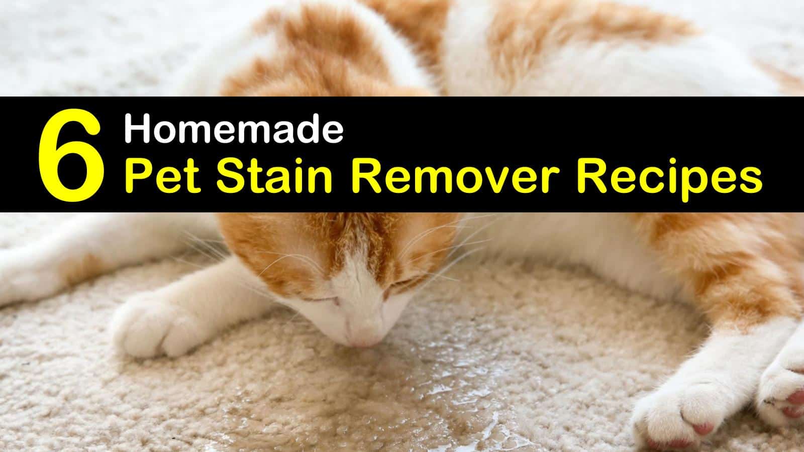 6 Simple Home Remedies for a Pet Stain Remover