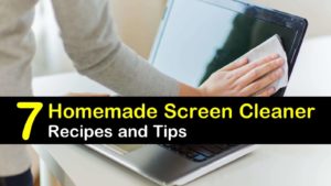 homemade screen cleaner titleimg1