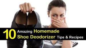 homemade shoe deodorizer titleimg1