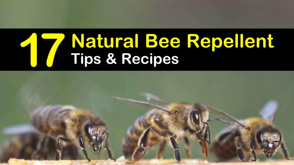 How To Keep Away Bees Keeping Bees Away - 17 Natural Bee Repellent Tips and Recipes