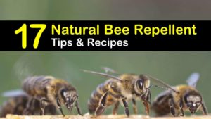natural bee repellent titleimg1