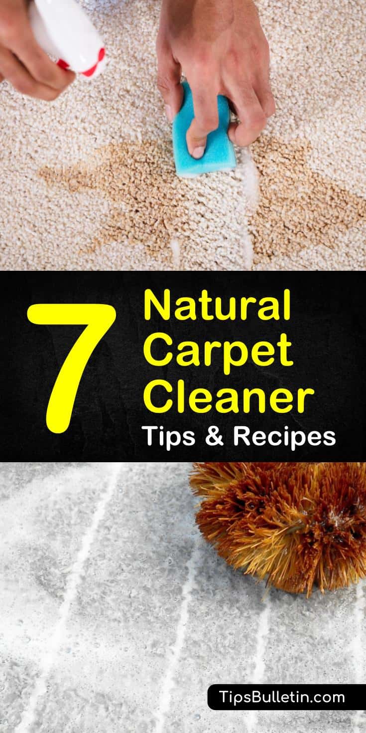 Know how to clean carpets at home using products like hydrogen peroxide, baking soda, and essential oils. These natural carpet cleaner recipes will teach you how to make homemade sprays, stain removers, and cleaning solution for machine cleaners. #diy #carpetcleaner #natural